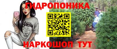 эйфоретик Бийск