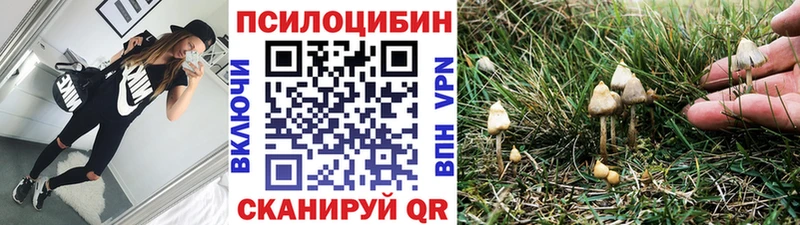 Псилоцибиновые грибы Psilocybe hydra сайт Вологда