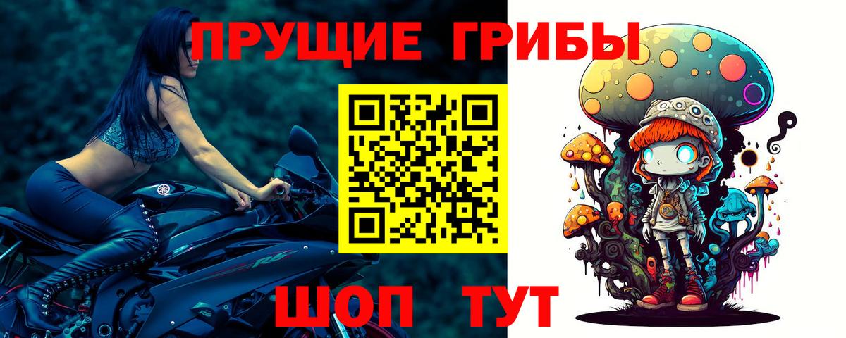 Вологда  Галлюциногенные грибы мухоморы  Вход с VPN  Псилоцибиновые грибы прущие грибы 