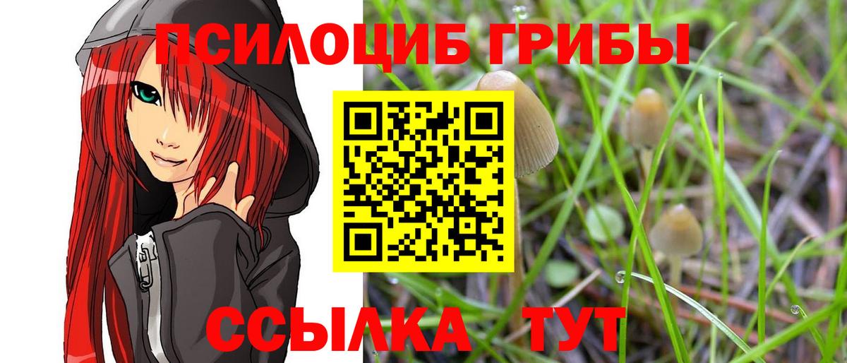 Галлюциногенные грибы ЛСД Вологда