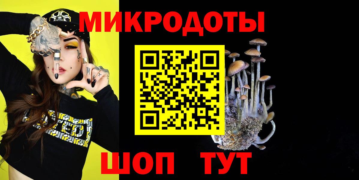 Галлюциногенные грибы Magic Shrooms Вологда