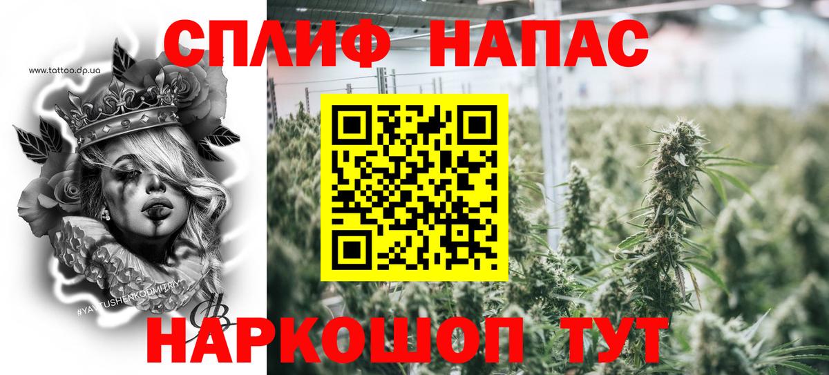 Марихуана LSD WEED  Бошки марихуана MAZAR  Бошки Шишки SATIVA & INDICA  Вологда 